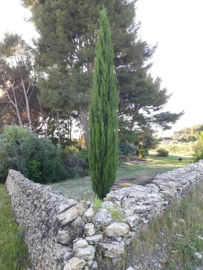Hébergement de vacances Gîte  Le Clos de la Pinède Le Castellet  France