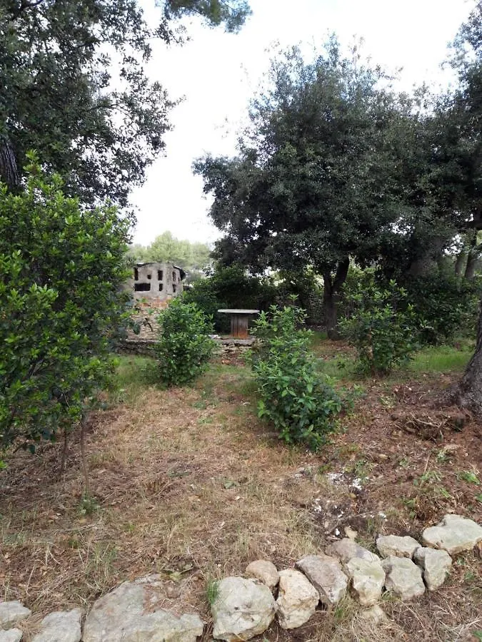Hébergement de vacances Gîte  Le Clos de la Pinède Le Castellet