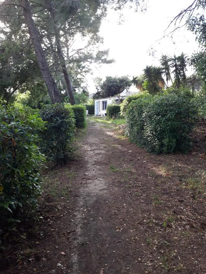 Gîte  Le Clos de la Pinède Le Castellet  Hébergement de vacances