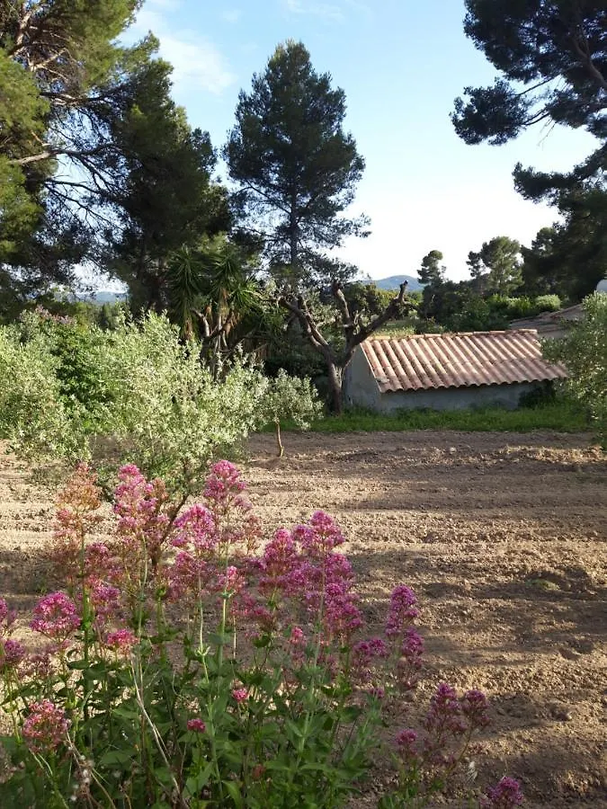 Gîte  Le Clos de la Pinède Le Castellet