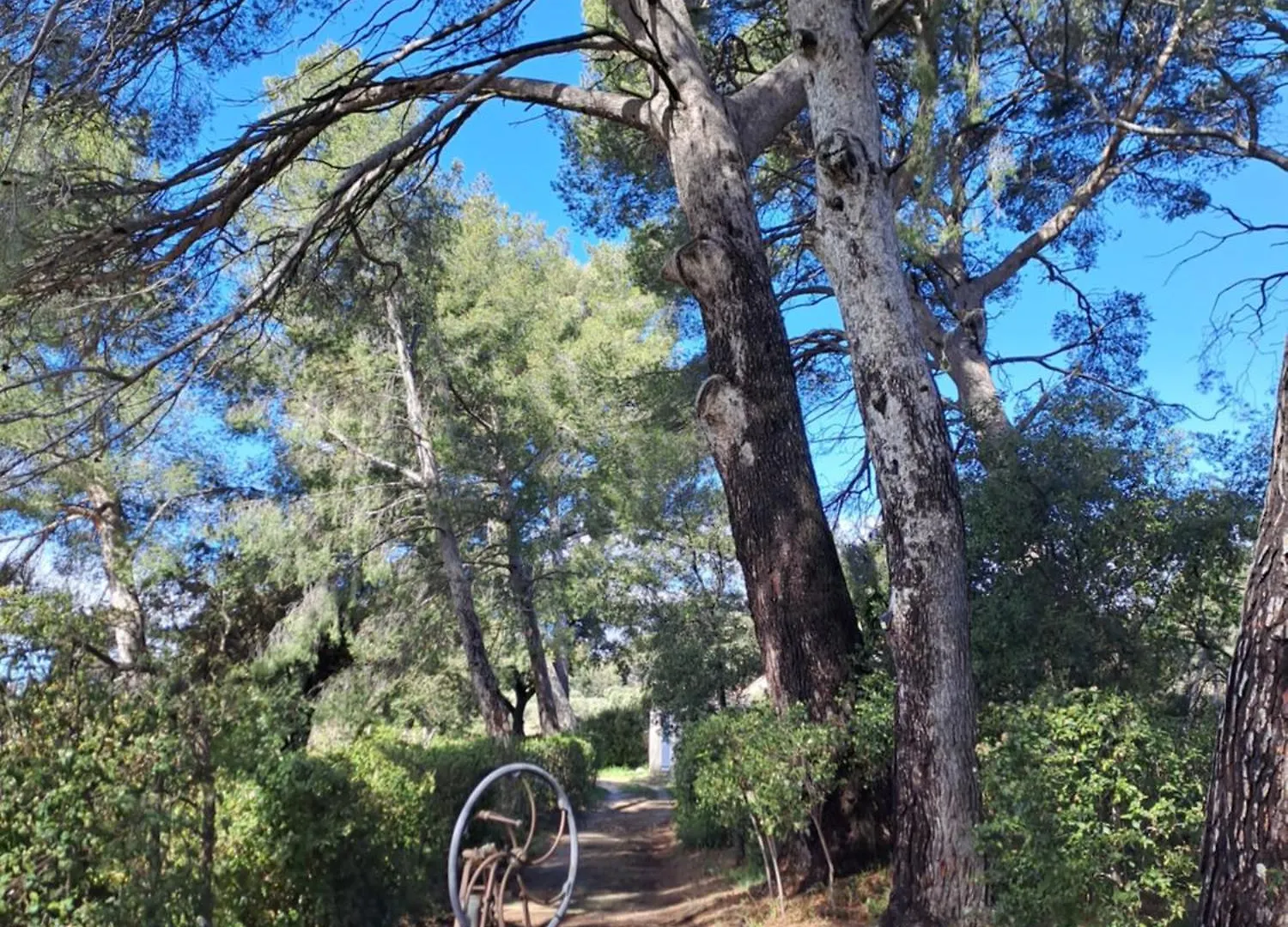 Hébergement de vacances Gîte  Le Clos de la Pinède Le Castellet