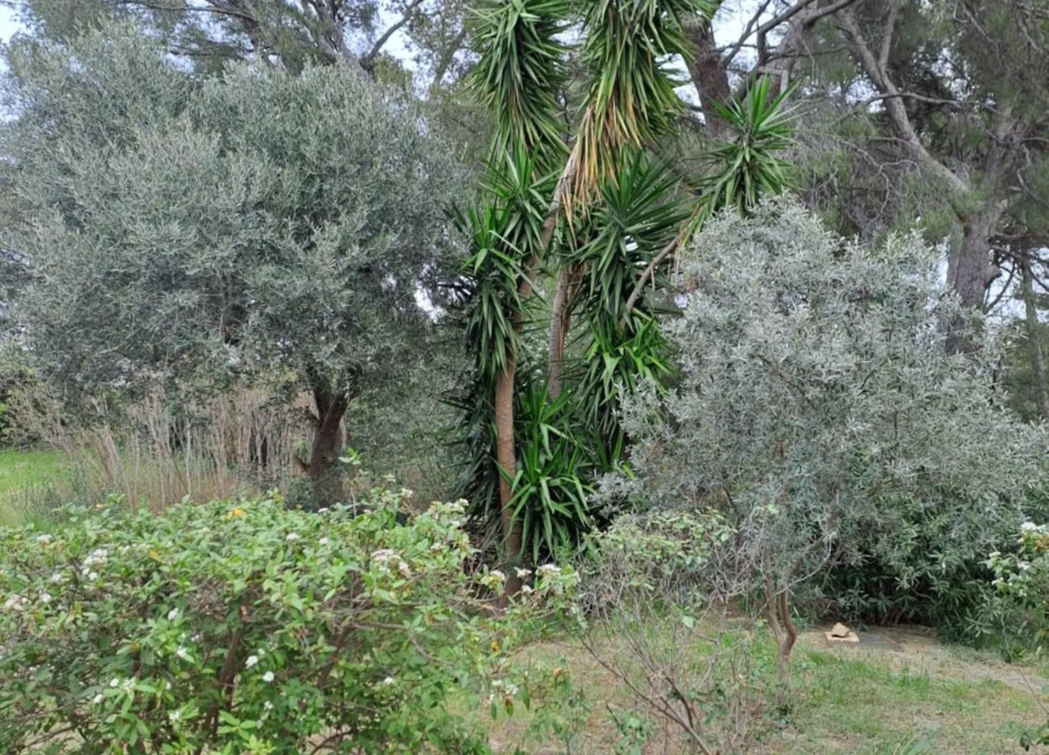 Gîte  Le Clos de la Pinède Le Castellet  0*, Le Castellet (Var) France