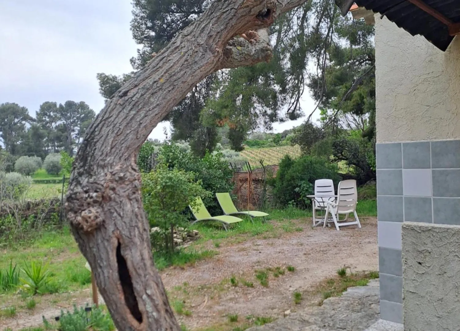 Gîte  Le Clos de la Pinède Le Castellet  Hébergement de vacances Le Castellet (Var)